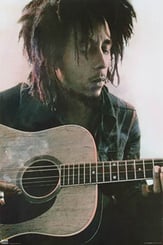 Bob Marley Acoustic Poster - P.O.P.